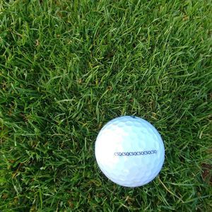 Meet your Posher, Euell